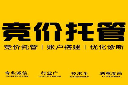 成功案例：SEM代运营服务公司助力企业品牌影响力提升